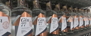 Gin 77